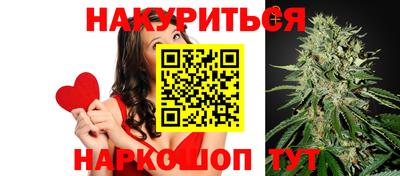сатива Кандалакша